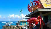 How King Crab Revitalized Bugoynes: From Crisis to Thriving Economy