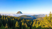 "Top 10 Must-Visit Destinations in Oregon: Nature, Adventure, and Scenic Beauty"