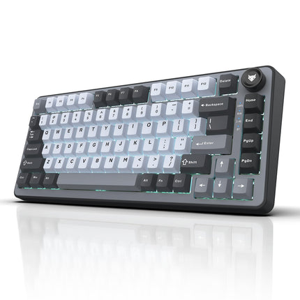 EvoFox Ronin X75 Tri-Mode Wireless Mechanical Keyboard| Gasket Mount, 5 Layer Sound Dampening, Hot Swap GTMX White Linear Switches,1000Hz Polling, Programmable, Muliti OS Web Software, Mac Key Caps