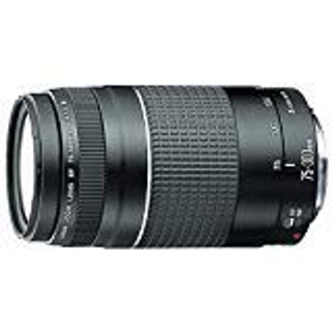 Canon EF 75-300 mm f/4-5.6 III Telephoto Zoom Lens for Canon SLR Cameras (Black)