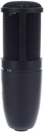 AKG P120 High-Performance General Purpose Recording Wired Microphone