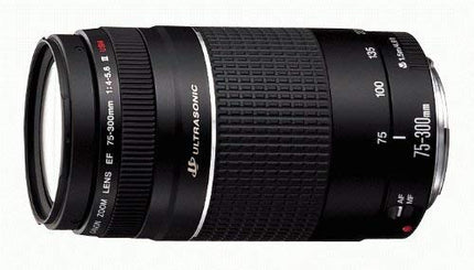 Canon EF 75-300 mm f/4-5.6 III Telephoto Zoom Lens for Canon SLR Cameras (Black)