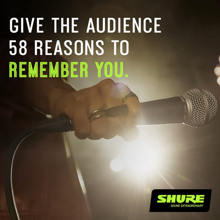 Shure SM58S Vocal Microphone (with On/Off Switch)
