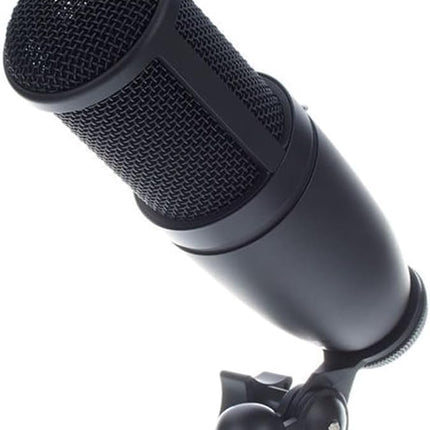 AKG P120 High-Performance General Purpose Recording Wired Microphone