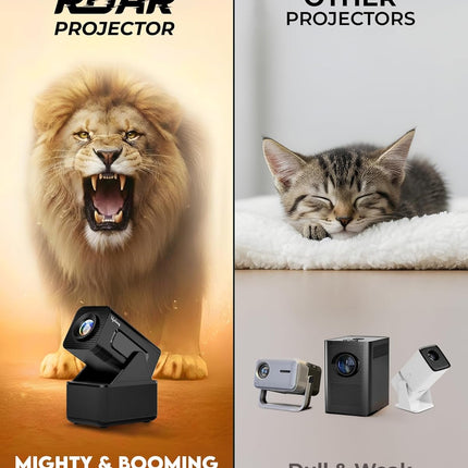 Lifelong Electronics ROAR Projector (All Mics and Remote Missing)