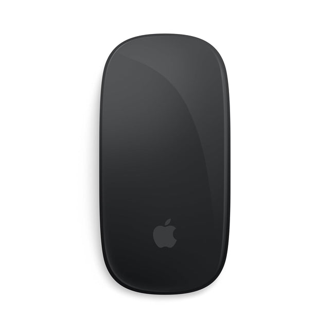 Apple Magic Mouse - Black Multi-Touch Surface  - USB-C