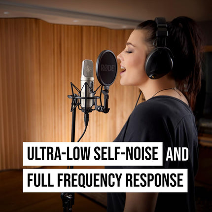 Rode Nt 2A Microphone - XLR