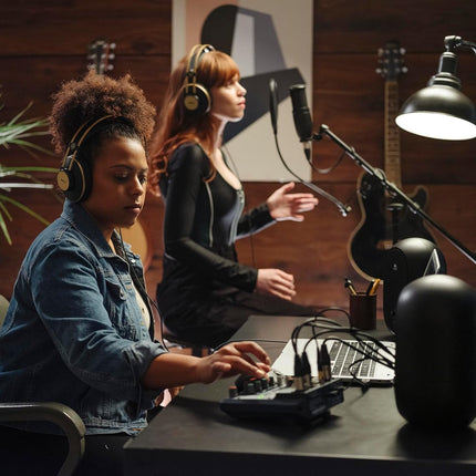 AKG P120 High-Performance General Purpose Recording Wired Microphone