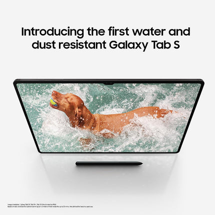 Samsung Galaxy Tab S9 Ultra 36.99 cm (14.6 inch) Dynamic AMOLED 2X Display, RAM 12 GB, ROM 256 GB Expandable, S Pen in-Box