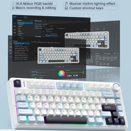 Aula F75 75% Wireless Mechanical Keyboard | Hot Swappable | Pre-lubed Linear Switches | RGB Backlit | 2.4GHz/Type-C/Bluetooth Gaming Keyboard (Reaper Switch)