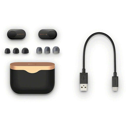 Sony WF-1000XM3 Truly Wireless Bluetooth Earbuds with Battery Life 32 Hours, Alexa Voice Control and mic for Phone Calls (Black) - Grabgear.in